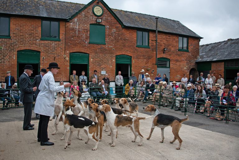 Location Tedworth Hunt